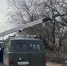 У Старого моста в Кирове начнут «валить» аварийные деревья - Newsler.Ru