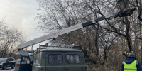 У Старого моста в Кирове начнут «валить» аварийные деревья - Newsler.Ru