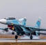 Самолет Су-30 потерпел крушение в Калининградской области при учебном полете - Комсомольская Правда