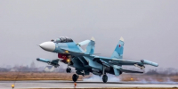 Самолет Су-30 потерпел крушение в Калининградской области при учебном полете - Комсомольская Правда