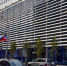 ВТБ подарил Ростову новую платановую аллею в честь своего 36-летия - DonDay.Ru