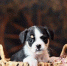 - - V-Kurse.Ru