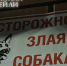 В Улан-Удэ развеяли мифы о «добрых» и «злых» собаках - ИА Байкал-Daily
