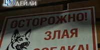В Улан-Удэ развеяли мифы о «добрых» и «злых» собаках - ИА Байкал-Daily