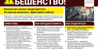 ОСТОРОЖНО БЕШЕНСТВО! - Администрация г. Сосновый бор