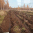 В городском округе "Город Йошкар-Ола" обновляют «щит» от ландшафтных пожаров - I-ola.Ru