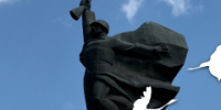 22 октября отмечается День белых журавлей - I-ola.Ru