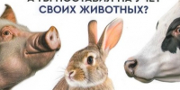 Россельхознадзор обращает внимание. - Котласский МО
