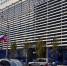 В Ростове на Большой Садовой появилась новая платановая аллея - Комсомольская правда