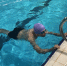 Картинка - Regions.Ru