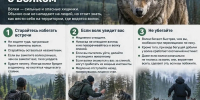 Жителям Башкирии рассказали, как вести себя при встрече с волком - Сетевое издание Республика Башкортостан