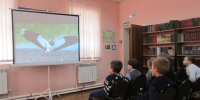 «Разноликая природа» (+6) - ЦБС г. Смоленска