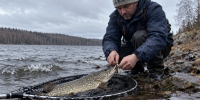 Щука остается одним из самых перспективных вариантов для спиннинговой рыбалки в конце октября | Источник: GPT - 29.Ru