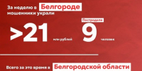 За неделю мошенники похитили у белгородцев более 32 млн рублей - Belnovosti.Ru