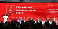 В Краснодарском крае создана винодельческая индустрия полного цикла - Кубанские Новости