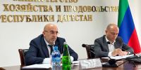 Альберт Хасауов обсудил с Минсельхозпродом Дагестана сбыт сельхозпродукции и борьбу с опустыниванием - Газета Молодежь Дагестана