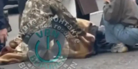Пенсионер на «Ладе» сбил 11-летнюю девочку на пешеходном переходе в Воронеже - TV-Gubernia.Ru