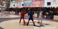 В Армавире участниками Чемпионата Краснодарского края стали 150 самбистов - GorodArmavir.Ru