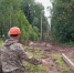 В Новгородской области реконструкция ЛЭП снизила аварийность на 70% - 53news.Ru