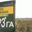 Картинка - Regions.Ru