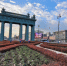 В Петербурге высадили 10 тысяч тюльпанов у Московских ворот - Комсомольская правда