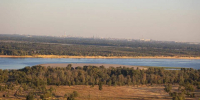 Почти 2 тыс. м² лесничества в Волгоградской области оставили без плодородного слоя почвы - Газета Городские вести