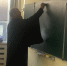 You are viewing the image with filename img_20261021_230045_327.jpg - Щёлковское Благочиние