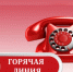 Дальнереченским санитарно-эпидемиологическим отделом Филиала ФБУЗ «Центр гигиены и эпидемиологии в Приморском крае в г. Лесозаводске»  будет проводиться Горячая линия по вопросам цифровой маркировки товаров, по вопросам защиты прав потребителей  транспортных услуг, по вопросам профилактики ВИЧ – инфекции. - Дальнереченский городской округ