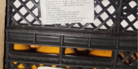 Первые партии хурмы нового урожая из Киргизии завезли на Алтай - Комсомольская Правда