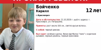 В Солнечном Красноярска пропал 12-летний школьник - ИА Запад24