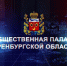 Началась процедура утверждения нового члена Общественной палаты - Законодательное Собрание