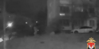Полицейские задержали жителя Ижевска за избиение знакомой и кражу её телефона  - Сусанин
