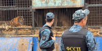 Судебные приставы приостановили деятельность «Саванны» на 30 суток - УФССП по Республике Башкортостан