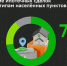 Почти половина ипотек на покупку домов и объектов ИЖС заключаются в черте городов - IrkutskMedia.Ru