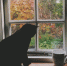 В Нижнем Новгороде 22 октября потеплеет до +9 градусов - Newsroom24.Ru