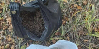В Оренбургской области полиция пресекла попытку сбыта более килограмма марихуаны - ProOren.Ru
