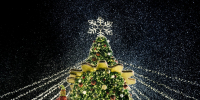 IMG_20261022_131845_184 - NeruLife.Ru