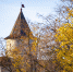 Фото: ПАИ - InformPskov.Ru