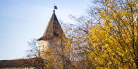 Фото: ПАИ - InformPskov.Ru