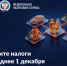 В Курганской области началась рассылка налоговых уведомлений за 2025 год: срок уплаты - до 1 декабря 2026 года. - Шадринский муниципальный округ