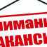 Внимание! Вакансия!. - Лебяжьевский муниципальный округ
