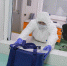 Волгоградские ученые создали двойные молекулы от рака и бактерий - Газета Городские вести