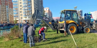Саранск зеленеет: в «Восточном» высадили 112 сосен, а в «Юбилейном» появились новые породы деревьев - Pg13.Ru