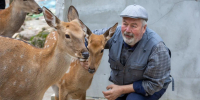 Картинка - Regions.Ru