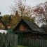 Народные приметы на 22 октября: как предсказывали зиму на Якова Дровопильца - Neva.Today