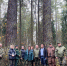 Научно-практический семинар в Никольской лесной даче - Мытищинский филиал МГТУ