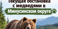 Оперативная информация на 21 октября: ситуация с медведями в Минусинском округе. - Администрация