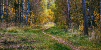 Картинка - Regions.Ru