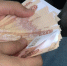 В Татарстане подвели итоги антикоррупционных проверок трех министерств - ГТРК Татарстан