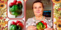 1kBQuLuSww_7yGzoI2xgBfCpnaVqVMvXpM15DdHFYMwtd3wjNuIwRse2Vxr05dpnGXZHM9htHr3gfpfzVznjghr_-1 - Наше Слово